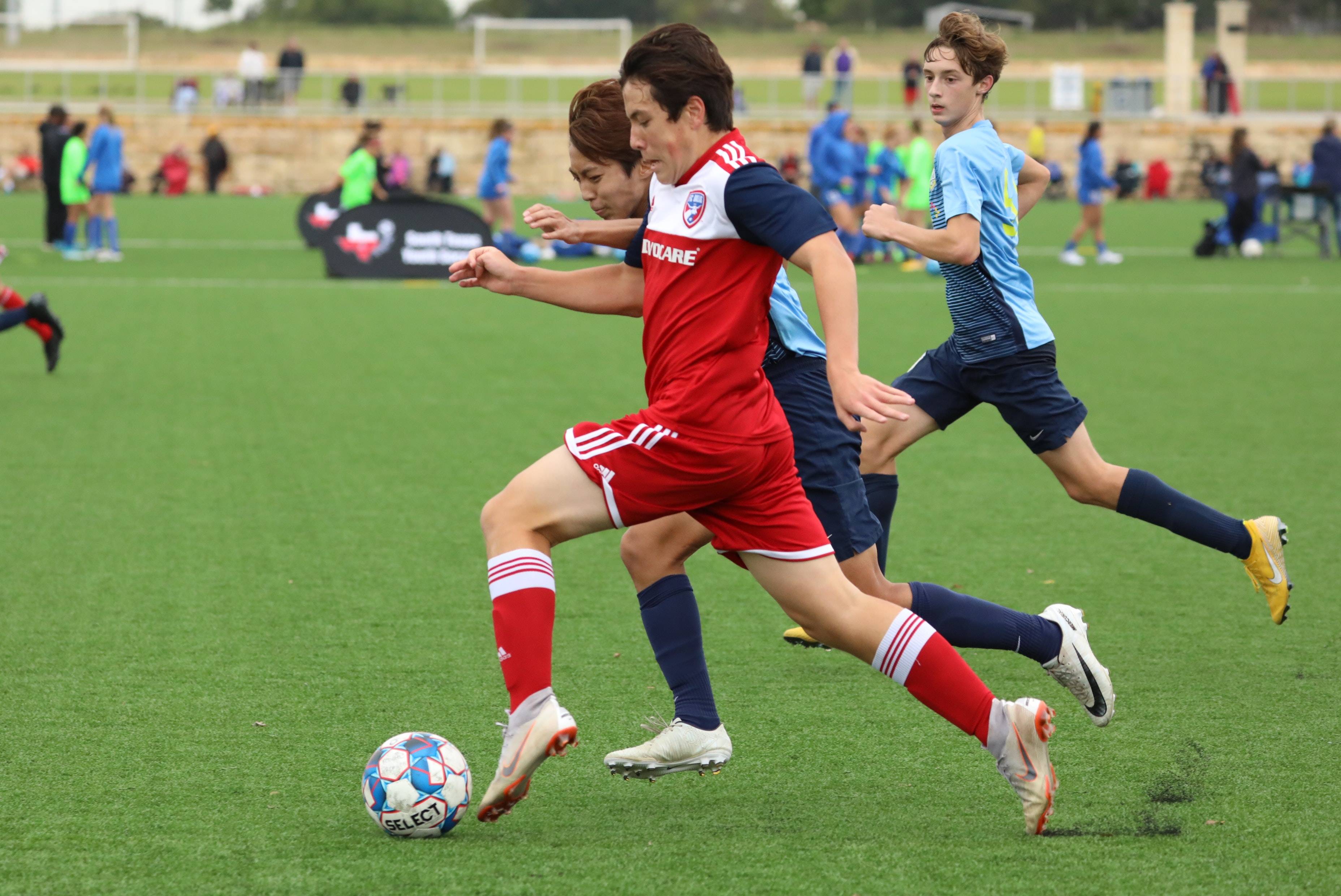 類似轉會的 類似轉會的